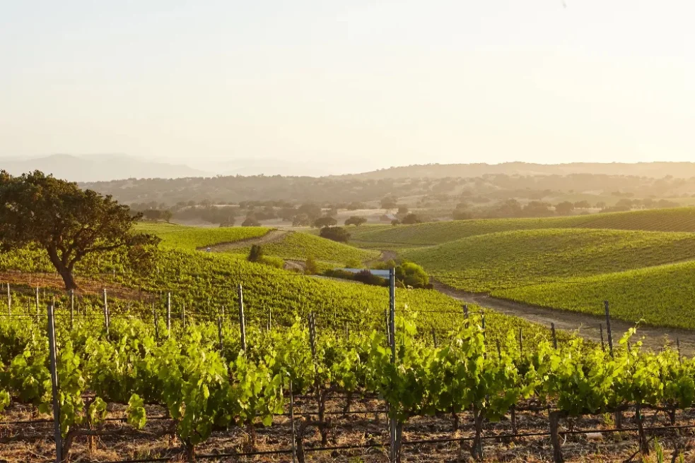 Η ιστορία μας